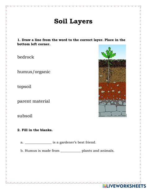 Soil Layers Interactive Worksheet Artofit