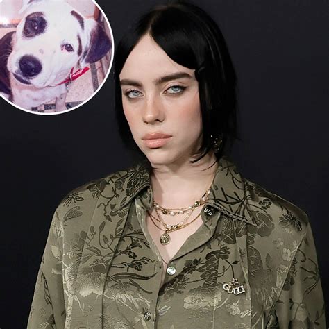 Billie Eilish Mourns Death Of Beloved Dog Pepper