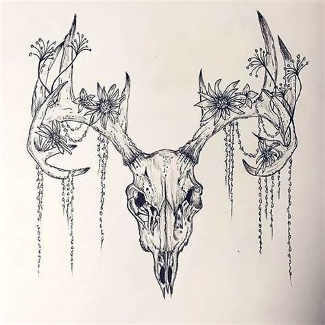 Deer Skull Drawing With Flowers - DRAWQU