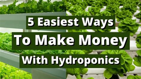 5 Easiest Ways To Make Money With Hydroponics Not Selling Plants Youtube