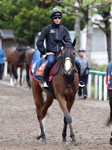 【オークス】ルメールはチェルヴィニア選択「この馬でクラシック」4度目の樫制覇へ一変ムード 3歳馬特集 競馬写真ニュース 日刊スポーツ