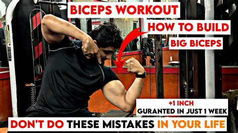 How To Increase Biceps Size 3 Most Important Tips Best Exercises For