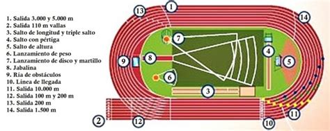 Atletismo De Pista Medidas Partes Pruebas Competize