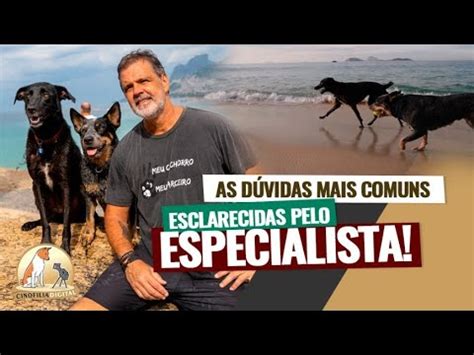 Adestramento De C Es Bruno De Castro Cinofilia Digital Youtube