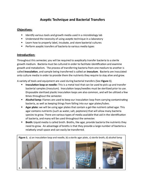 Aseptic Technique And Bacterial Transfers Aseptic Technique And