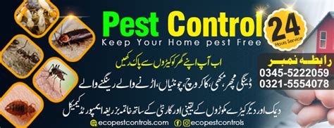 How To Remove Cockroach Infestations With Effective Pest Control