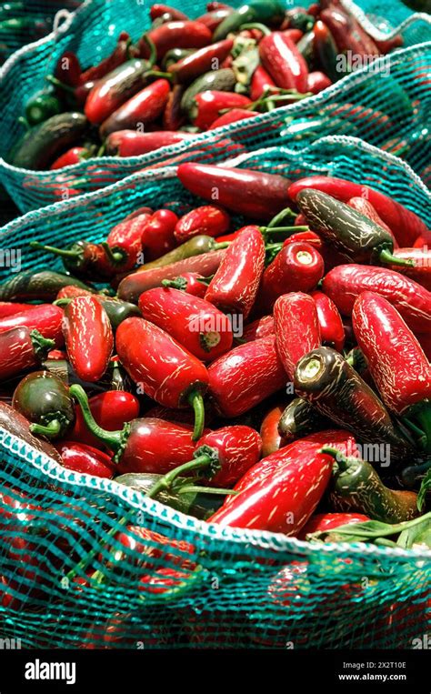 Mexico Sinaloa Heaps Of Red Chili Peppers Stock Photo Alamy