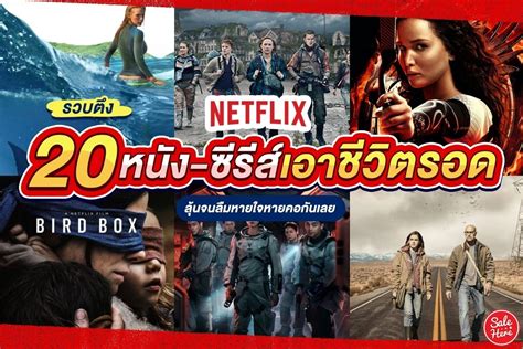 หนังแนะนำ Netflix เริ่มต้นค้นพบความสนุกใหม่ๆ