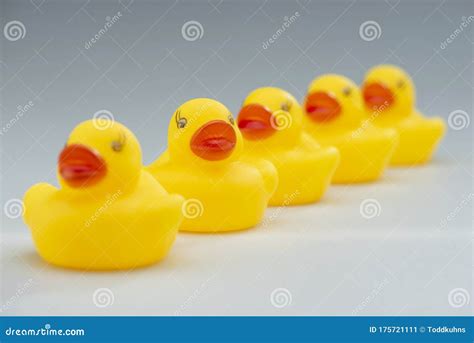 Row Of Yellow Rubber Ducks In A Row Stock Image Image Of Adorable