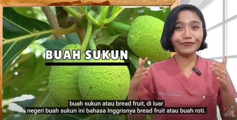 Manfaat Luar Biasa Buah Sukun Kesehatan Tubuh Dari Protein Hingga