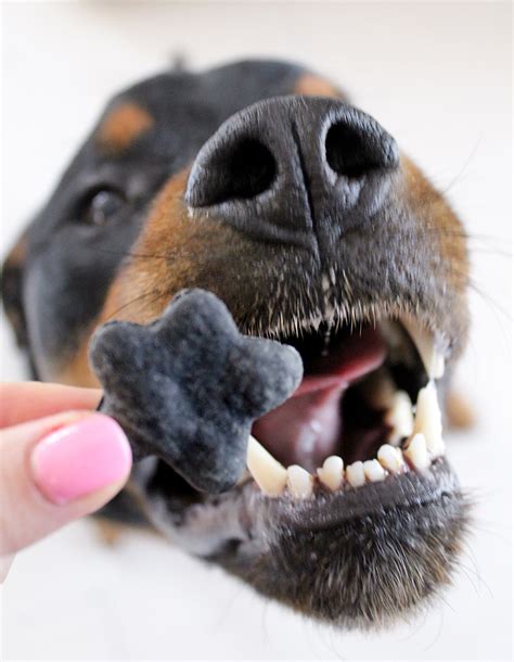 Activated Charcoal Dog Treats - Stylish Paws