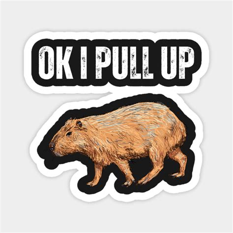 Ok I Pull Up Capybara Funny Capybara I Pull Up Meme Ok I Magnet