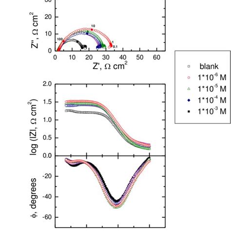 Potentiodynamic Polarization Curves Of 316 Stainless Steel In 0 1 M Hcl