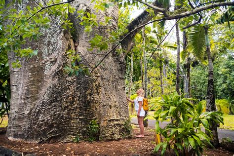 Things You Didnt Know You Could Do In Mauritius