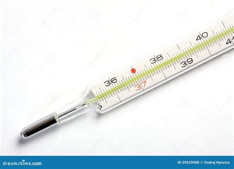 Detail Of Mercury Thermometer On White Background Stock Photo Image