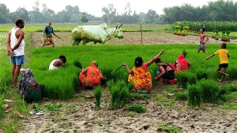 Old Amazing Culture And Lifestyle In Indian Villages Unseen Village