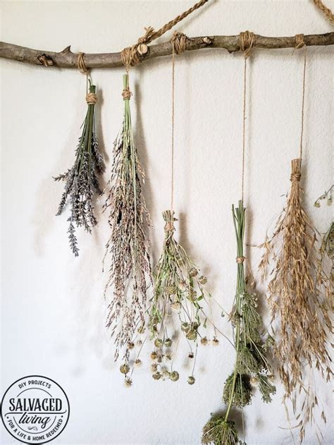 Dried Flower Wall Hanging Salvaged Living Hanging Flower Wall Hanging Plant Wall Dried Flowers