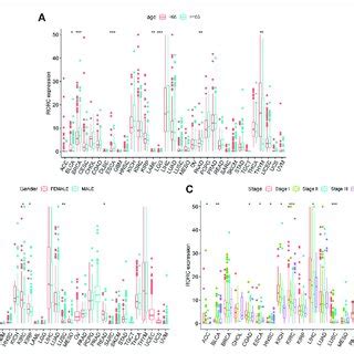 Differential RORC Expression Between Cancer And Normal Tissues A