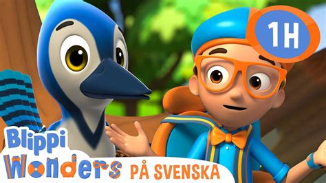 Blippi Bygger Ett F Gelbo Blippisvenska Pedagogiska Videor F R