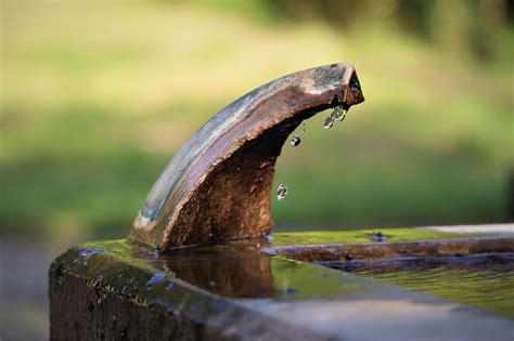 Fuente Mojado Agua Foto Gratis En Pixabay