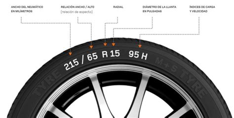 Descubre La Importancia De La Equivalencia De Los Neum Ticos Motor Y