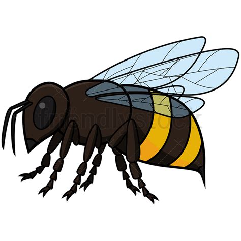 Download High Quality Bee Clipart Realistic Transparent Png Images