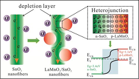 Schematic Illustration Of The Gas Sensing Mechanism For Sno And