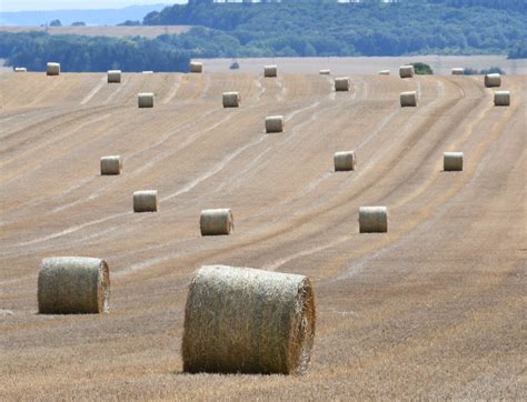 Agriculture Politique Agricole Commune PAC 104 Millions D Euros D