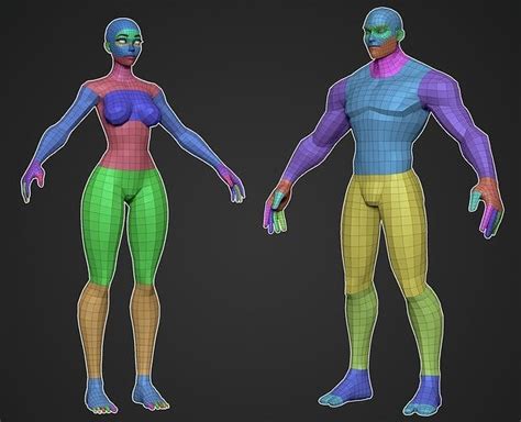 D Model Stylized Base Mesh Bundle Vr Ar Low Poly Cgtrader