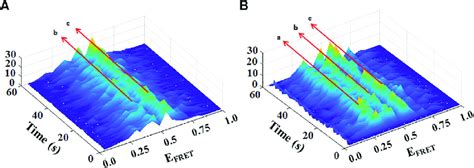 D Histograms Plotting Single Molecule Fret Efficiency E Fret