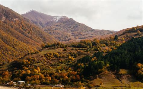 Natureza fascinante encostas de montanhas cobertas de árvores verdes e