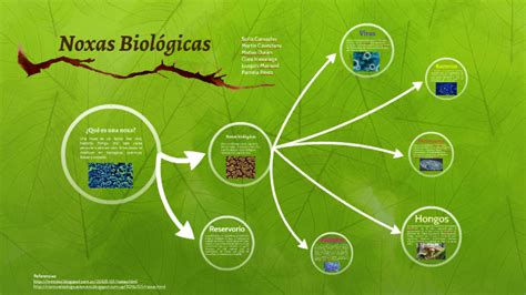 Noxas Biológicas by Sofi c on Prezi