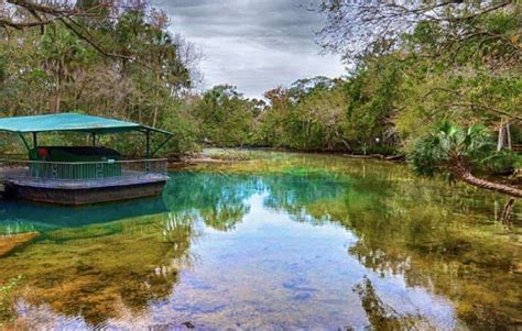 Homosassa Springs Florida - How To Make The Most Of Your Visit