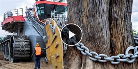 99 Biggest Heavy Equipment Machines Working At Another Vizyon Haber