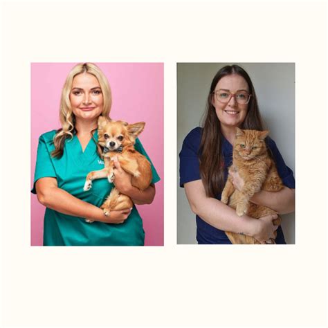 Customers are thrilled with the sainsburys coventry canley renovation 2