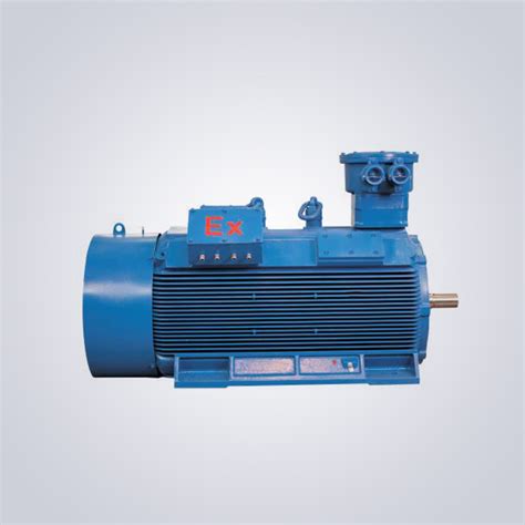 Ybx Series Explosion Proof High Voltage Three Phase Asynchronous Motor