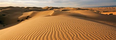 Imperial Sand Dunes | Aztec Recreation | A.S. | San Diego State University