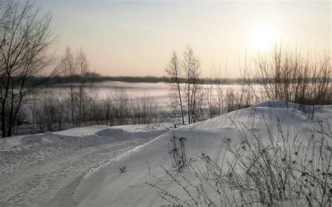 Frozen Bare Sky Scenics Nature Covering Landscape Cold