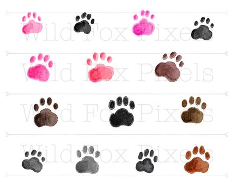 Paw Print Watercolor Clipart Hand Drawn Clipart Commercial Etsy Canada