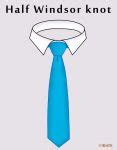 How to Tie a Half Windsor Knot? Variations, Tips & Video Steps