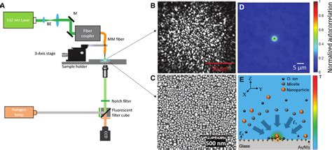 Opto Thermoelectric Speckle Tweezers A Schematic Of The Experimental