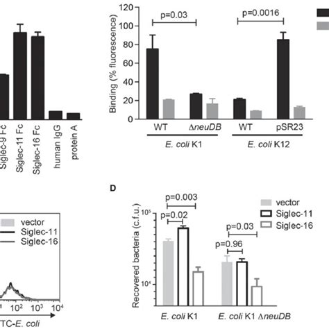 Siglec And Siglec Are Paired Receptors Expressed On Macrophages