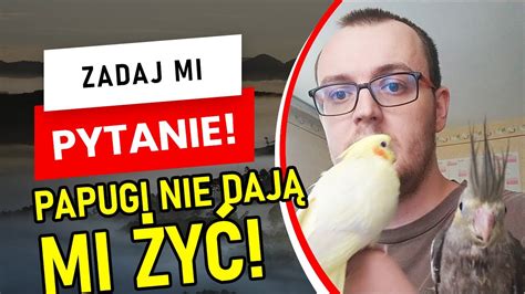 Zadaj Mi Pytanie Opowiadania O Ma Ych Nimfach Youtube