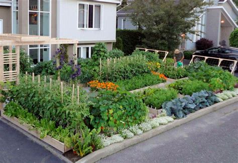 City Vegetable Garden Ideas Cuteconservative