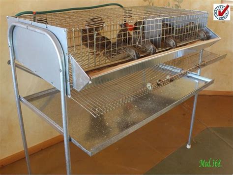 Quail Laying Cage Full Section Quail Quail Pen Cage