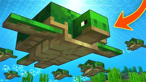 Turtle Smp Minecraft Server