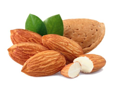 Nuez De Almendra Con Hojas Png