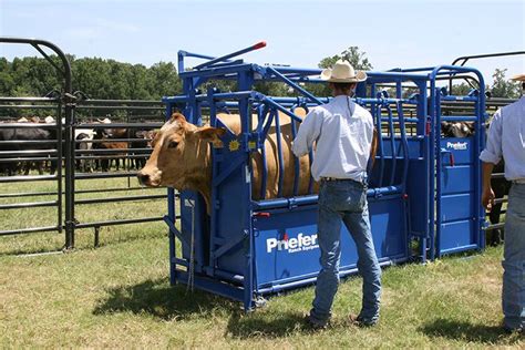 41 best Cattle Equipment images on Pinterest | Cattle, Cow and Farming