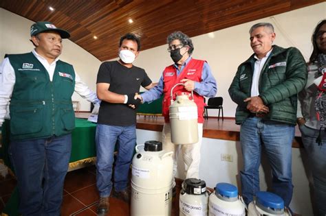 Midagri Entrega Material Gen Tico Para Potenciar Ganader A En Ayacucho