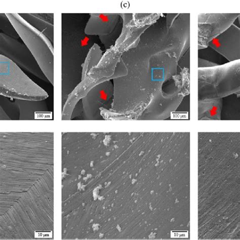 SEM Images Of The Surface Of The Mg Fibres At I 500X Magnification